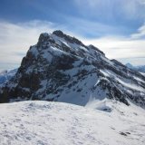 ferdenrothorn